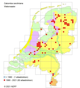 Waterwaaier_verspreidingskaart