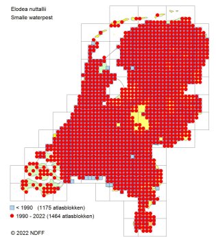 Verspreidingskaart Smalle waterpest 